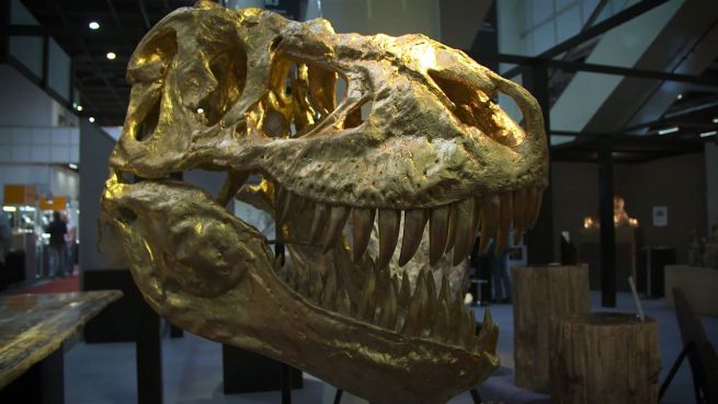 go to 40. Jubiläum: Mineralienmesse macht Kids zu Archäologen