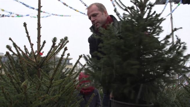 go to Nachhaltige Weihnachten: ‘Adoptiere den Weihnachtsbaum’